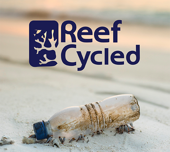 Reef Cycled