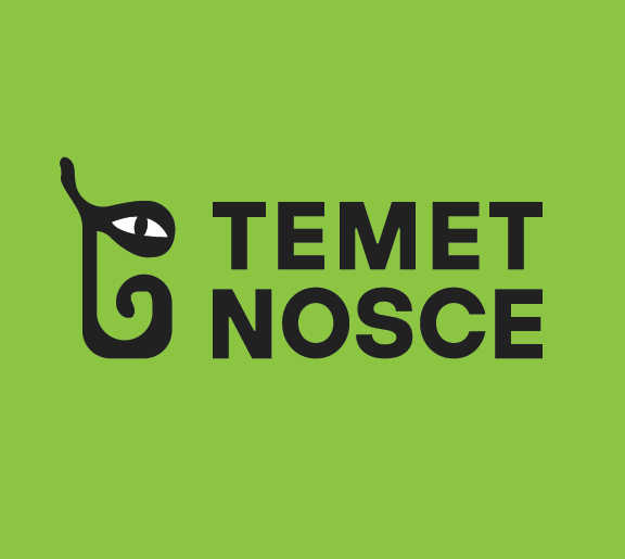 Matthew DeVito Temet Nosce logo