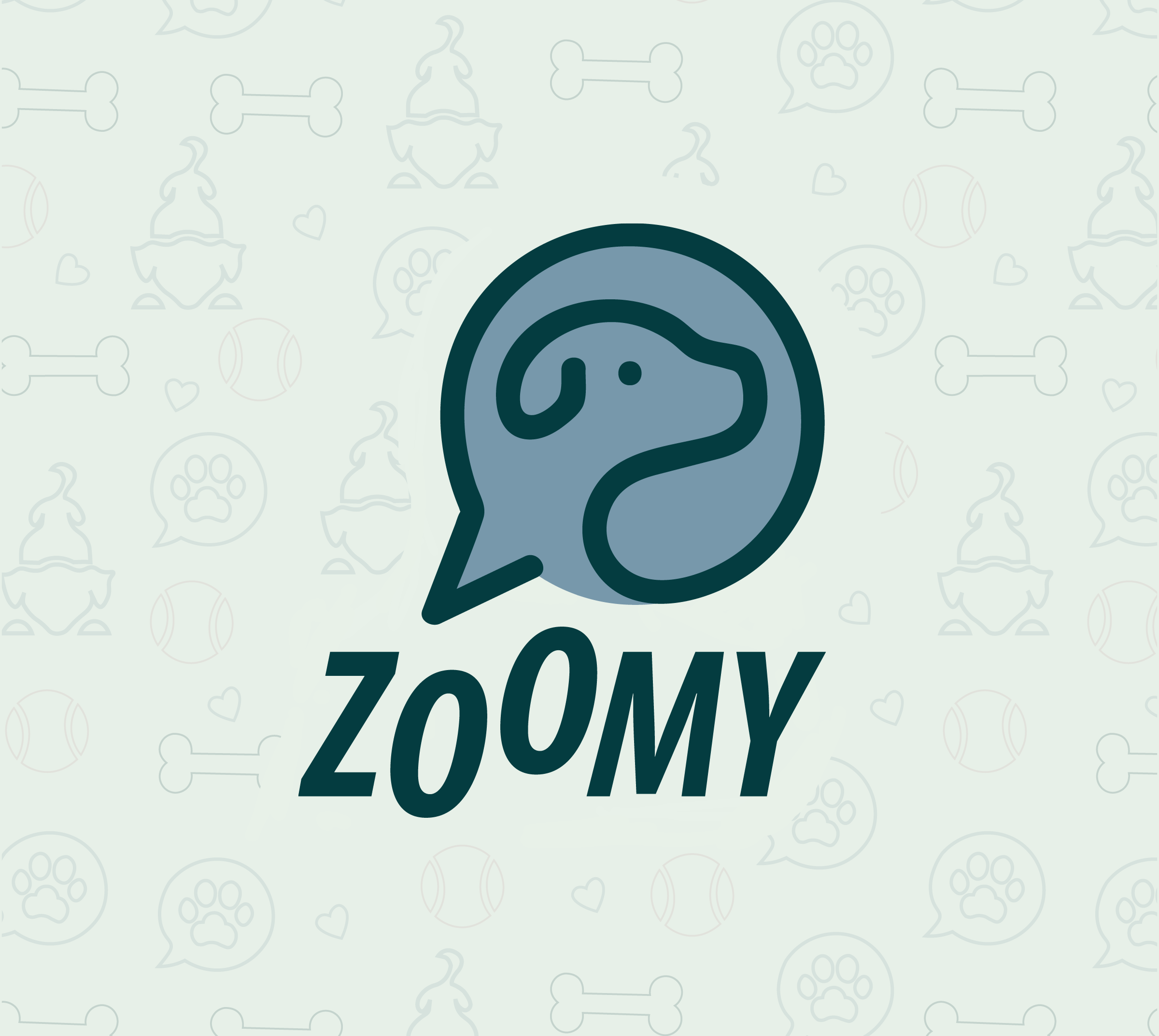 Meagan Reynolds Zoomy logo